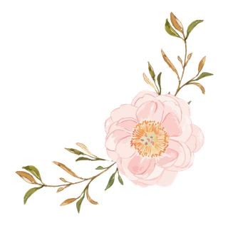 唯美森系手绘水彩花朵 免抠