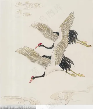 工笔画—白鹤图