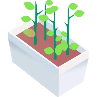 立体风格花苗盆栽