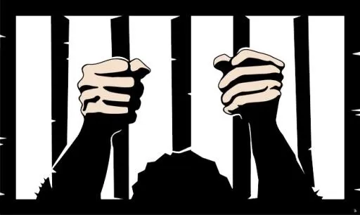 ** PNG免抠(650x389)