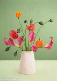 家俱饰品-白色陶瓷花瓶里插着罂粟花 家俱饰品-白色陶瓷花瓶里插着罂粟花