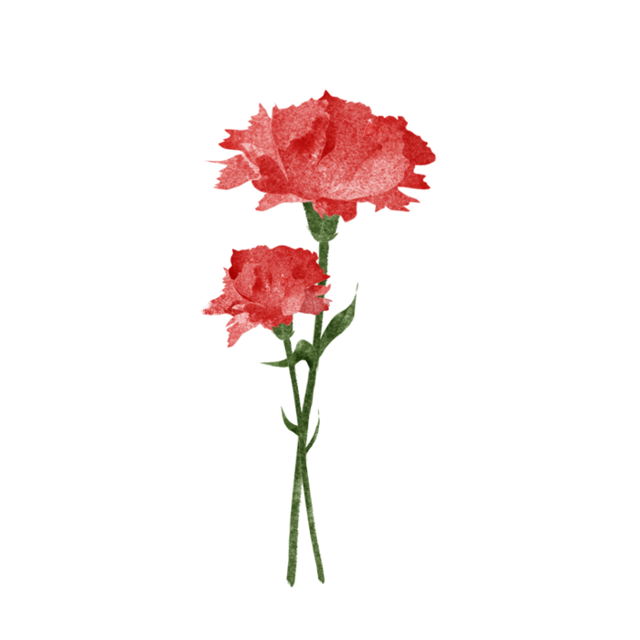 鲜花玫瑰免扣素材