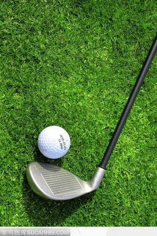 放在青草地上的球杆和球