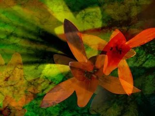 图片设计素材背景鸟语花香