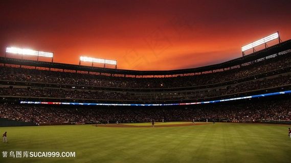 体育场草地壁纸