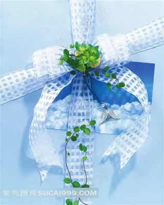 丝带结礼物包装设计图片下载