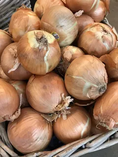 新鲜洋葱蔬菜图片 新鲜洋葱蔬菜图片