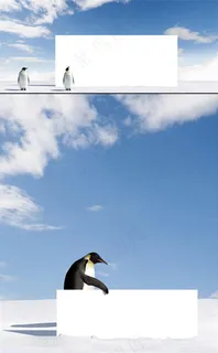 可爱拿着白纸板的企鹅高清图片素材jpg格式 可爱拿着白纸板的企鹅高清图片素材jpg格式