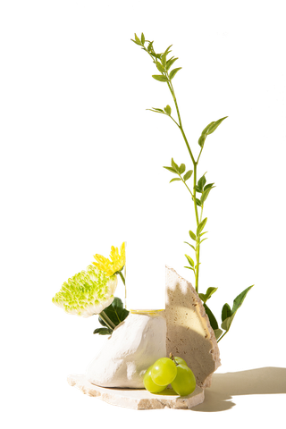 树木树枝树叶免扣素材