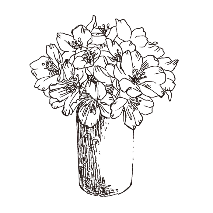 线条草本花卉手绘植物-樱花2