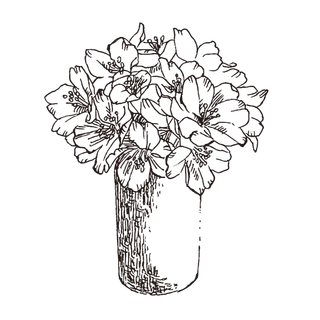 线条草本花卉手绘植物-樱花2