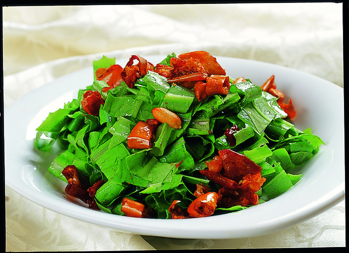 95LC-294油麦菜