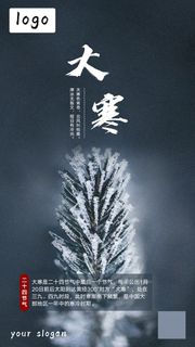 大寒节气海报