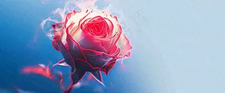 红玫瑰蓝色天空白云唯美，鲜花