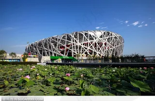 北京印象-鸟巢特写