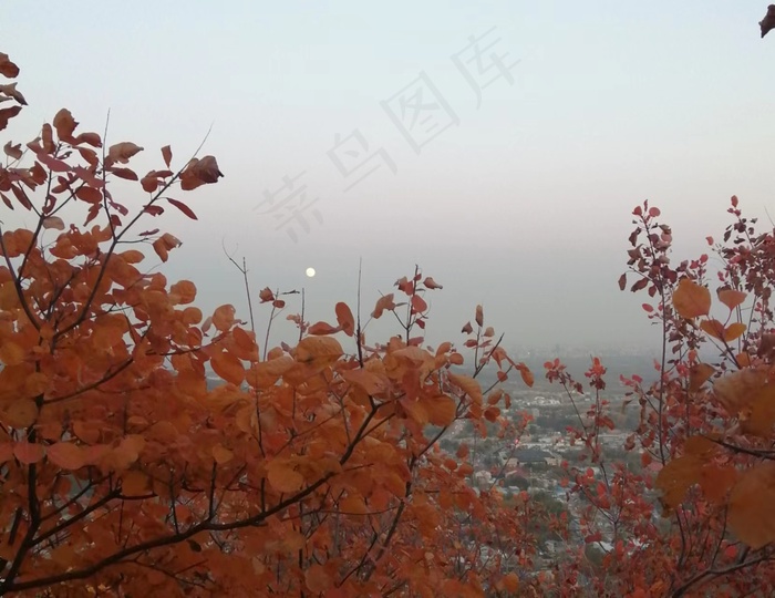 秋色落日黄昏