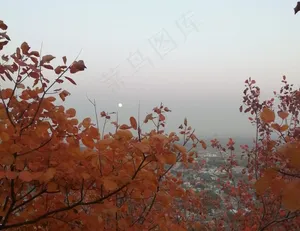 秋色落日黄昏