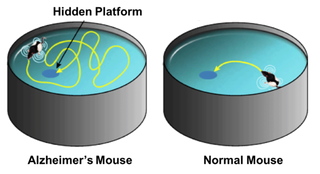 实验示意图卡通