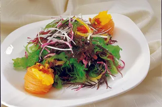 0806L-367五彩南极冰藻