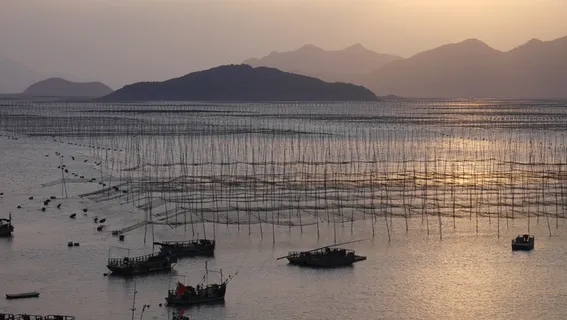 霞浦海边日出波光粼粼海天一色
