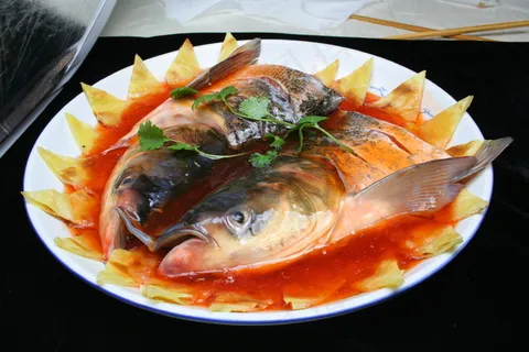 3070鱼头泡饼5 3070鱼头泡饼5