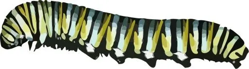 卡特彼勒 PNG免抠(1248x350)