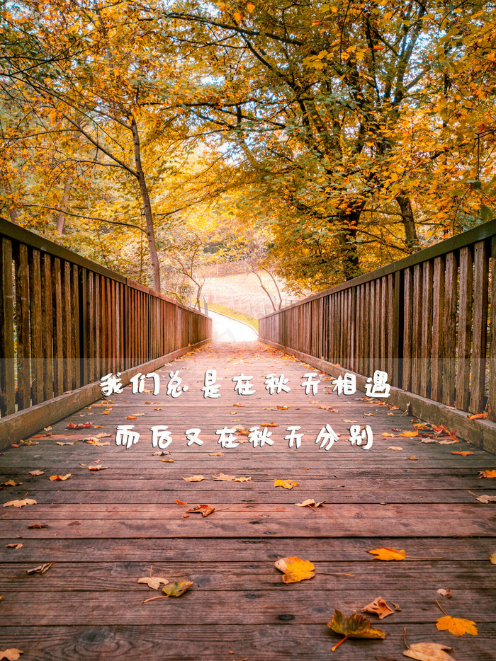 秋季唯美说说图片