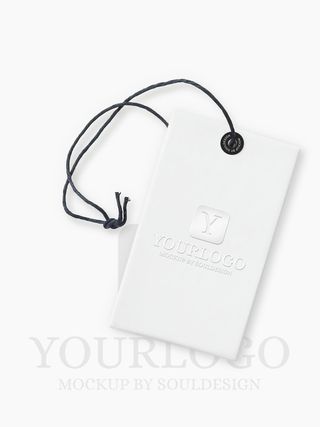 LOGO展示效果样机