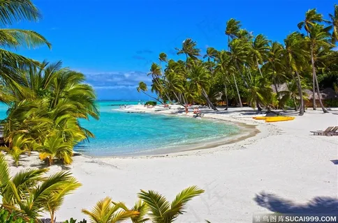 有树有海有沙滩 有树有海有沙滩