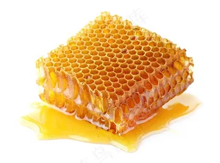 营养美味的蜂巢蜜高清图片
