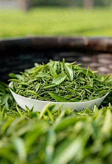 中国风，茶盆里的龙井绿茶茶叶摄影