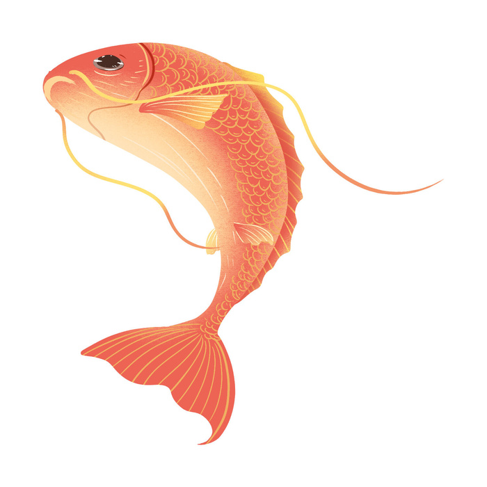 手绘烫金国潮中国风卡通锦鲤鱼金鱼插画装饰元素PSD设计素材