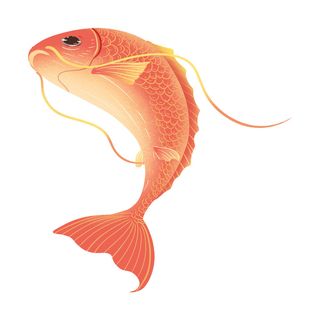 手绘烫金国潮中国风卡通锦鲤鱼金鱼插画装饰元素PSD设计素材