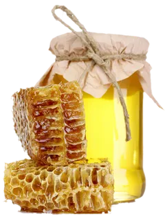 免抠蜂蜜，蜂窝，蜂浆，蜜罐