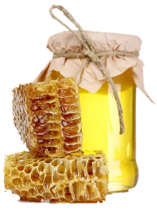 免抠蜂蜜，蜂窝，蜂浆，蜜罐