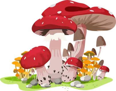 红色大蘑菇 红色大蘑菇