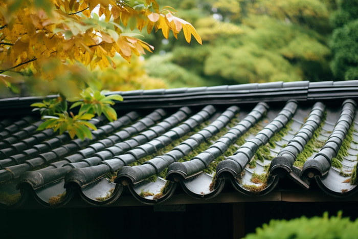 秋季雨过江南建筑屋檐摄影图(4032x2688)