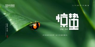 深绿高端二十四节气惊蛰展板