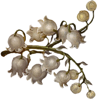 复古油画质感宫廷花卉植物花朵鲜花拼贴图案PNG免抠图片设计素材