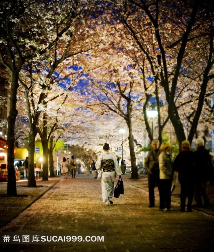 日本冬天街景