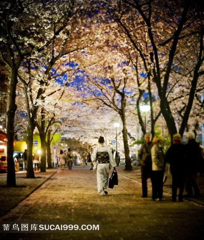 日本冬天街景