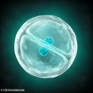 人体细胞细菌等生物高清图片