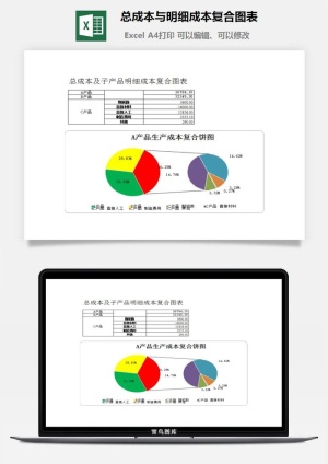 总成本与明细成本复合图表excel模板预览图