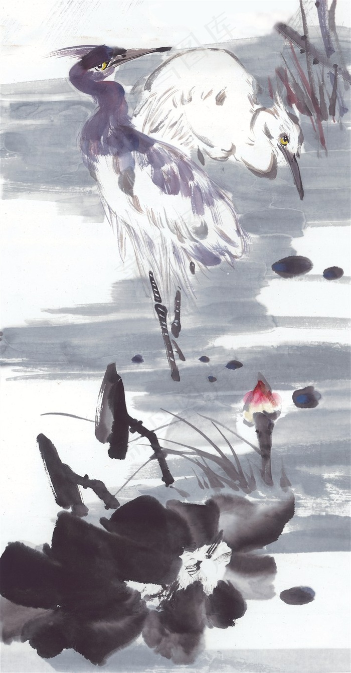 国画花鸟欣赏花jpg素材