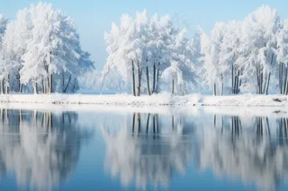 冬天雪景森林雾凇白雪摄影图
