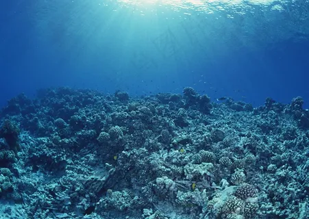 海底世界 161 海底世界 161