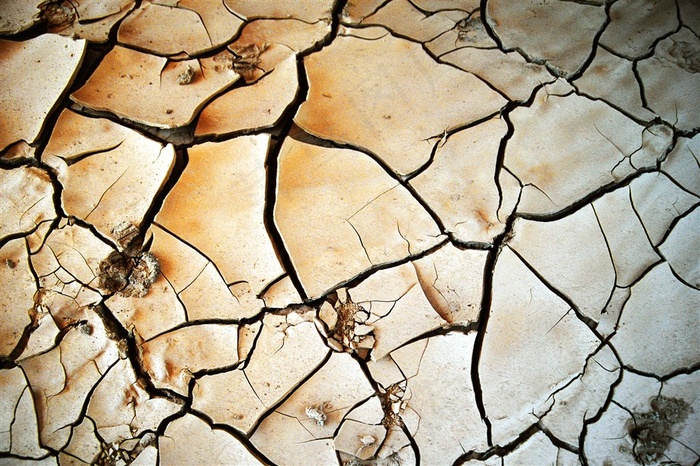 土地干旱图片