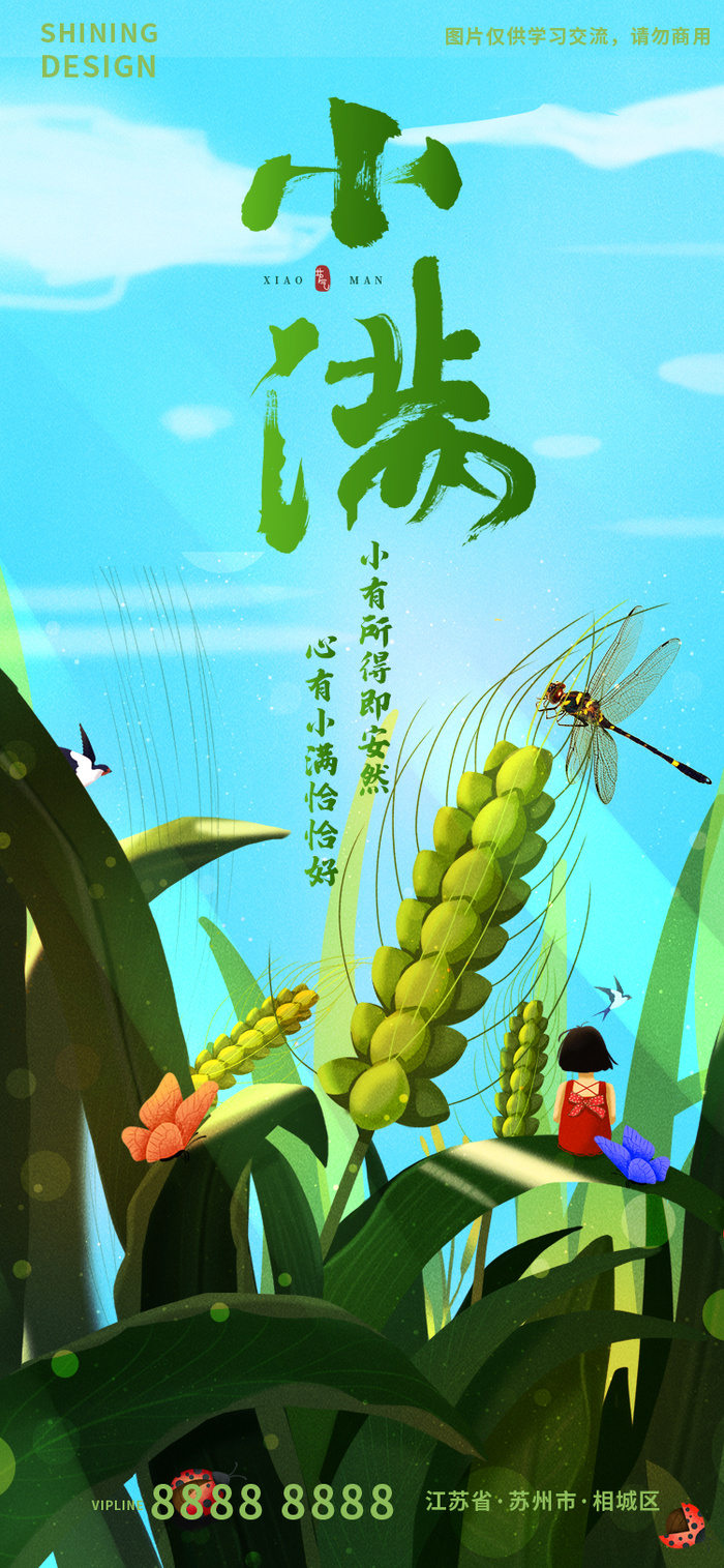 蜻蜓麦穗小满节气手绘插画刷屏海报