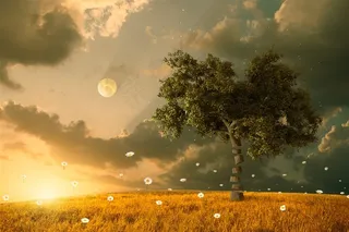 夕阳里的麦田和大树高清图片