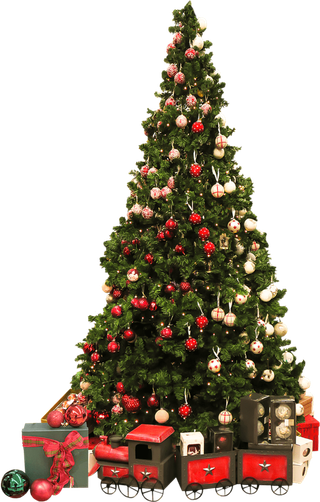 实物圣诞树